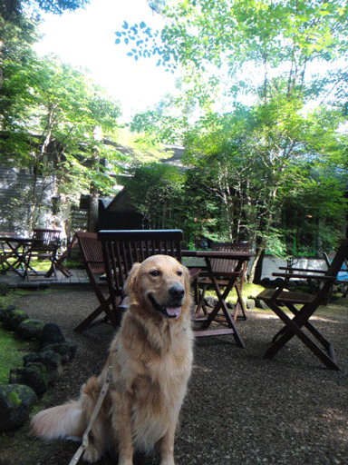 c0197829_3172131.gif