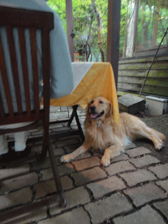 c0197829_3183593.gif
