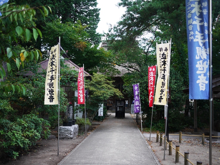 e0206031_755618.jpg