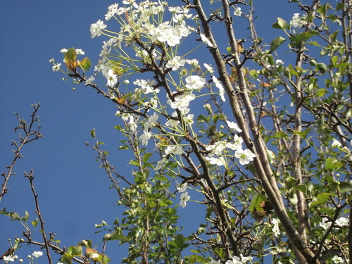 b0137932_125142.jpg