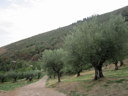 f0234936_1834031.jpg