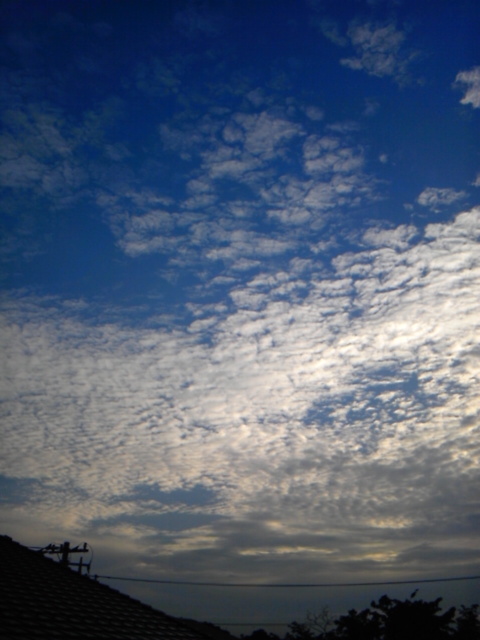 a0163738_21312211.jpg