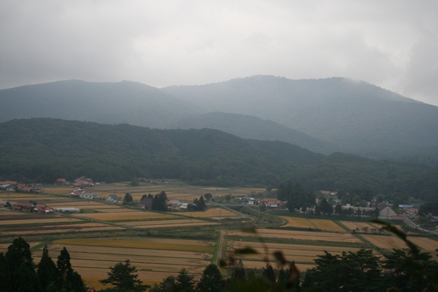 d0049138_14511174.jpg
