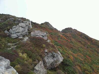 d0107938_6135129.jpg