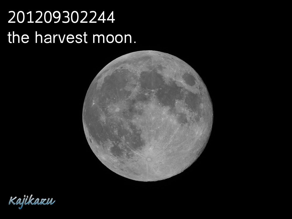 a0166940_2256671.jpg