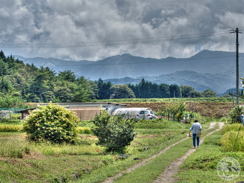 b0135347_00590.jpg