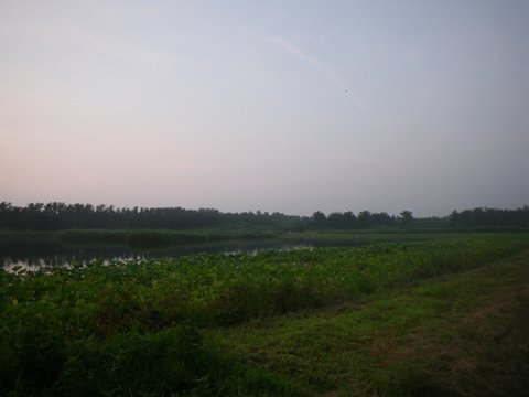 f0046250_14445517.jpg