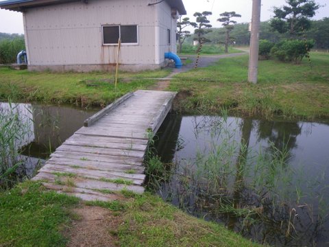 f0046250_14454554.jpg