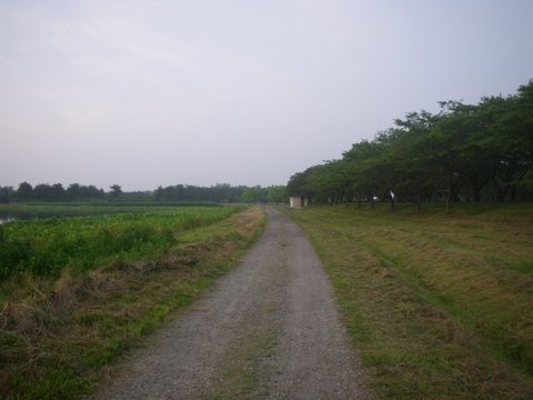 f0046250_1446201.jpg