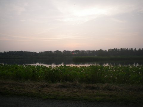 f0046250_14465478.jpg