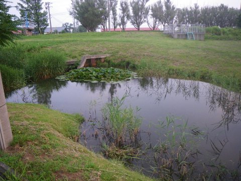 f0046250_1446628.jpg