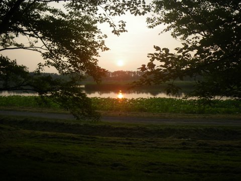 f0046250_14483083.jpg