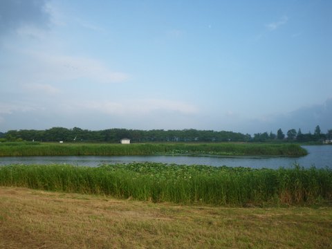 f0046250_16425687.jpg