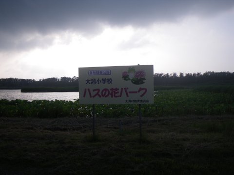 f0046250_16434649.jpg