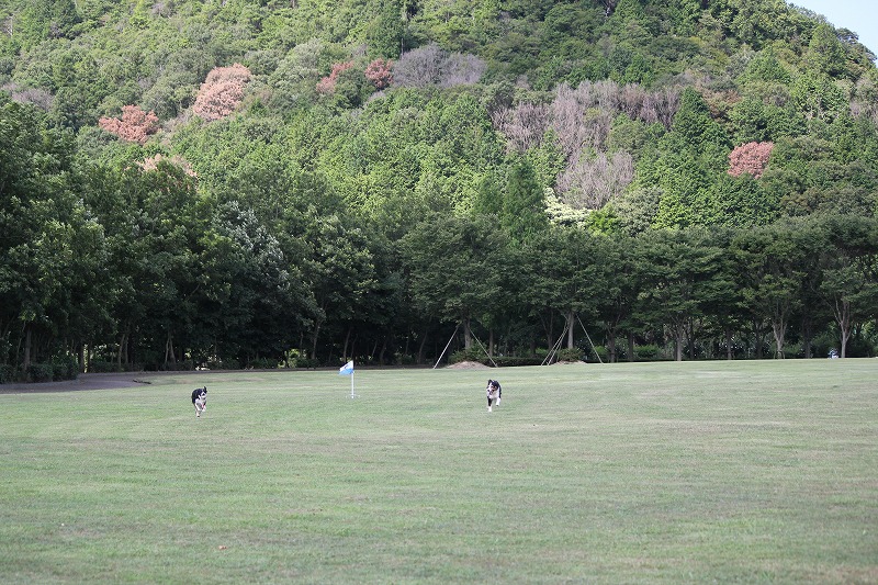 c0203653_15503592.jpg