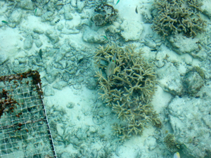 f0190653_1138177.jpg