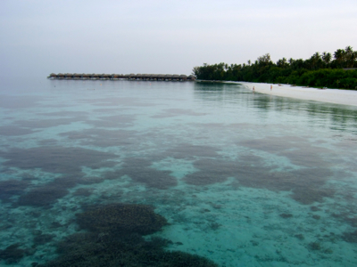 f0190653_11384868.jpg