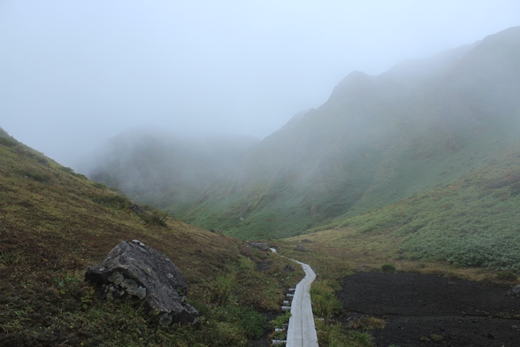 e0239458_11155560.jpg