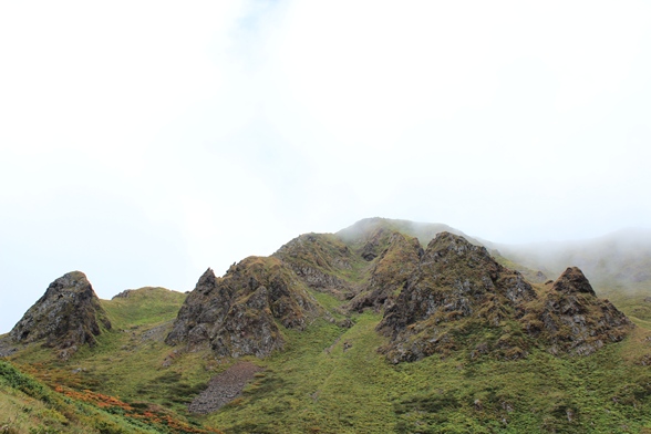 e0239458_1118640.jpg