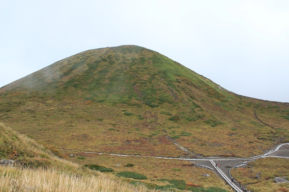 e0239458_11395747.jpg