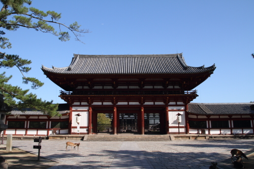 a0278378_23445896.jpg