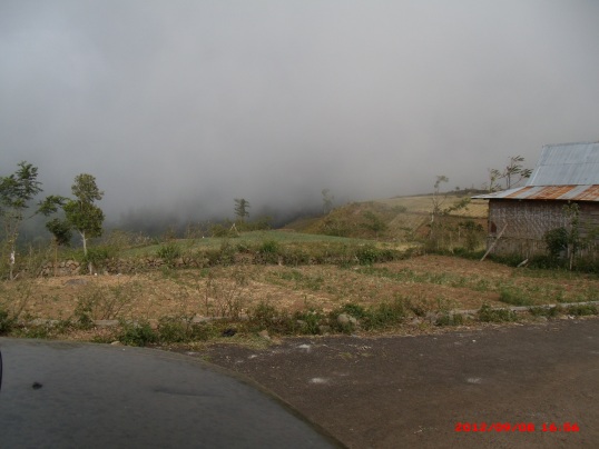 e0118683_14125850.jpg