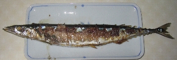 f0003283_1628331.jpg
