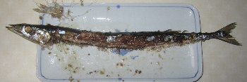 f0003283_16295249.jpg