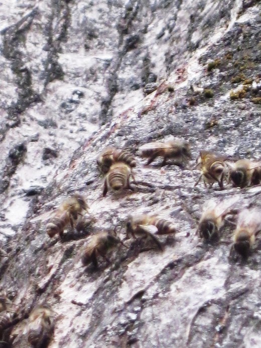 c0168584_17294071.jpg