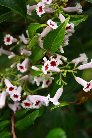 c0204385_0344166.jpg