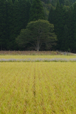 b0226089_1483017.jpg