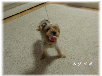 b0232891_16102451.png