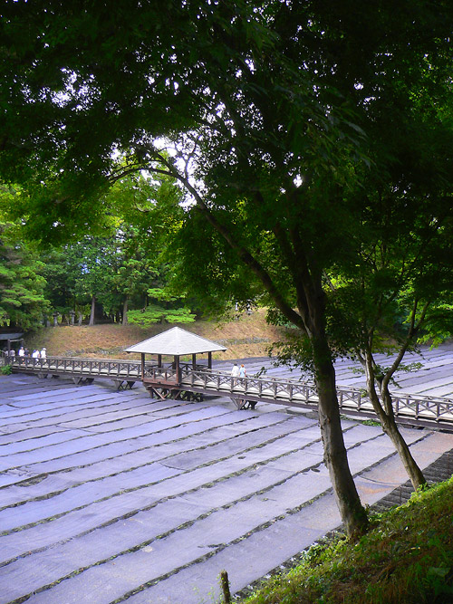 c0001491_2063484.jpg
