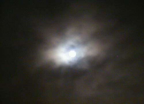 d0053294_23391598.jpg