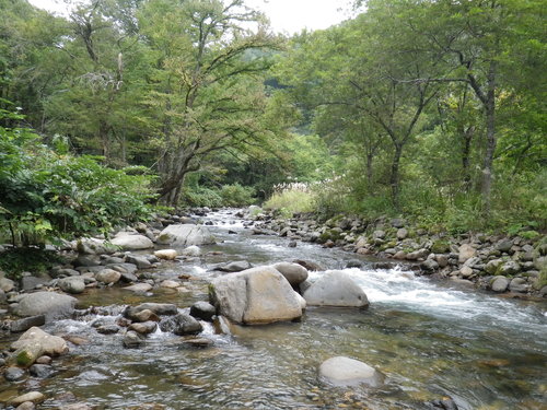 d0250395_13144992.jpg