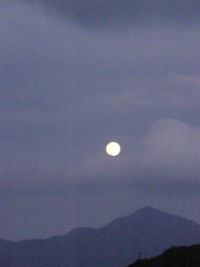 e0017396_23272368.jpg