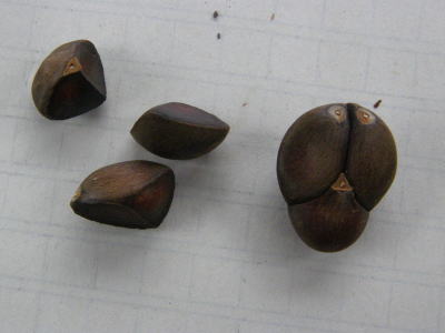 e0017396_23373852.jpg
