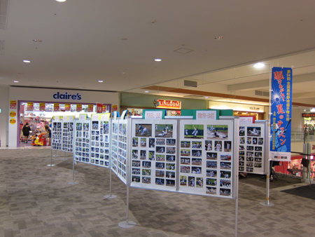 d0056197_16501848.jpg