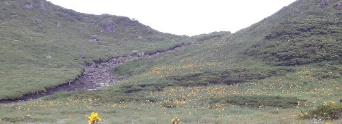 e0122199_16405170.jpg