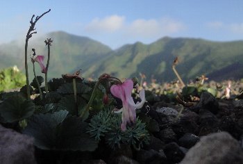 e0122199_16514814.jpg