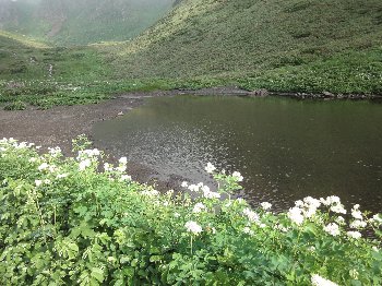 e0122199_16553176.jpg