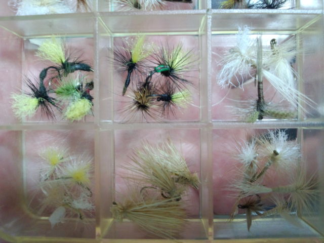 a0028803_2314340.jpg