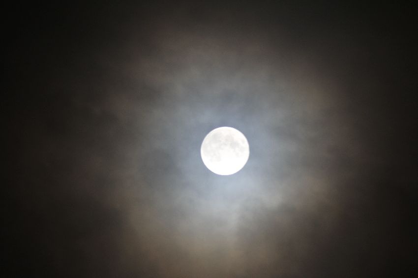 b0253905_20492839.jpg