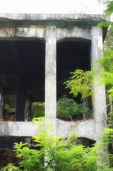 c0202705_12113058.jpg