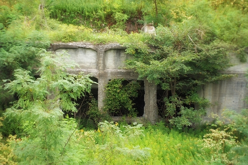 c0202705_12122814.jpg