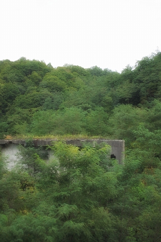 c0202705_1212414.jpg