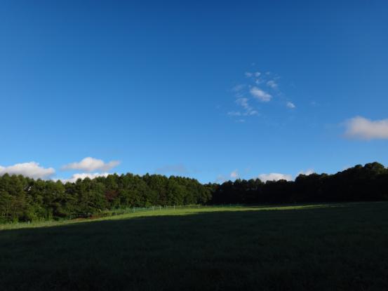 f0064906_184114.jpg