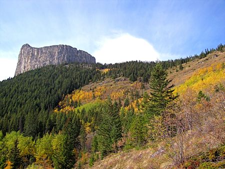 b0051109_10253226.jpg