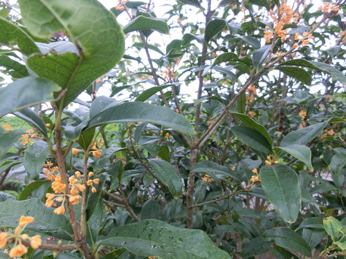 b0239909_2302316.jpg