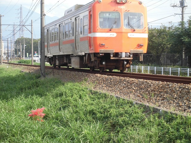 f0141310_730368.jpg